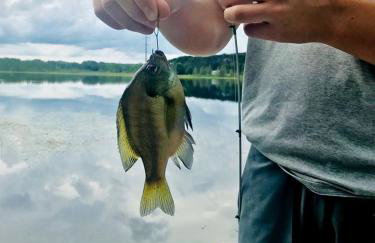 Pet-Friendly Lakeside Cabin Ideal for a Family Getaway in Wisconsin - Foto 52