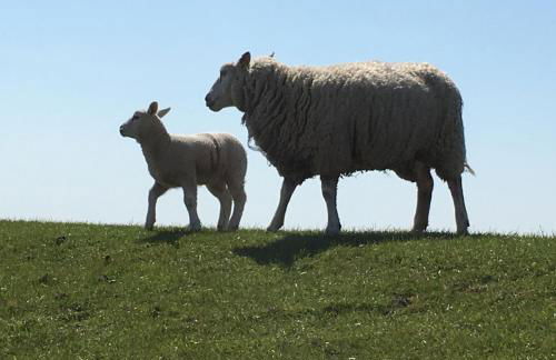 Bielenberg 37 - Foto 27