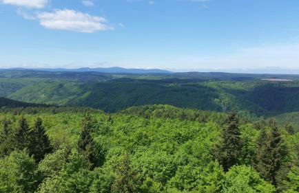 Poolhaus im Südharz - Foto 16