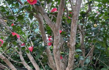 Casa Žerotín - Foto 40