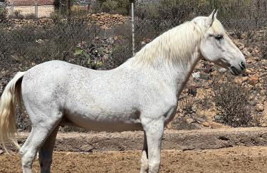 Tantulia la casita del Caballo - Foto 6