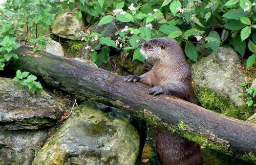 Tigh Grianach - Foto 39