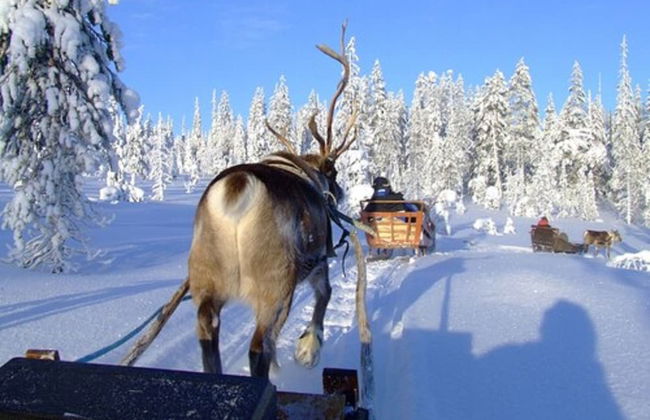 Holiday Club Salla Apartments - Foto 63