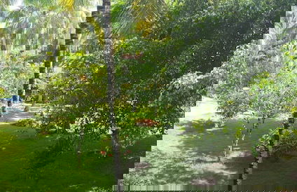 Oasis Hotel Las Terrenas - Foto 46