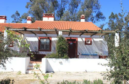 Monte Do Areeiro - Foto 47