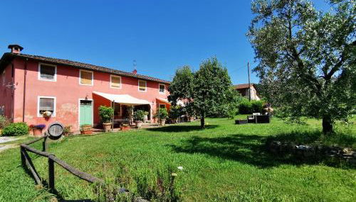 Agriturismo Al Podere Di Rosa - Foto 4, Garden