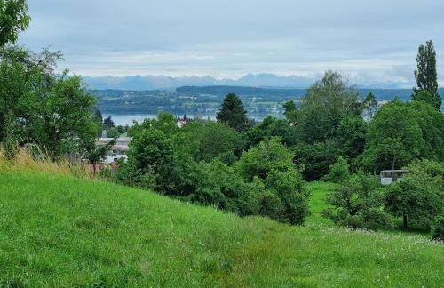 Traumhafte Gartenwohnung in Überlinger Hanglage - Zur goldenen Kiwi - Foto 19