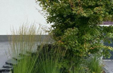 Ferienwohnung Weinbergblick - Foto 14