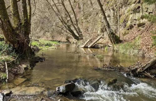 Spacious Farmhouse in Friedrichsfeld near Forest - Foto 33