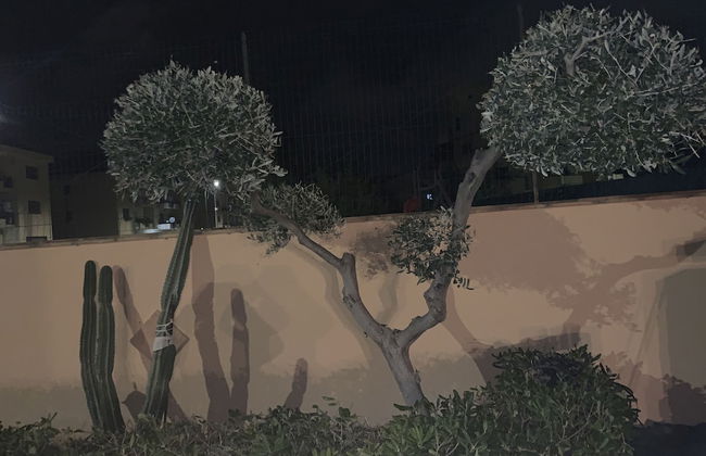 Sole Mare E Relax for Dream Holidays in Siculiana - Foto 43