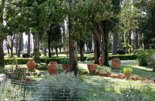 Villa Tommasini La torre - Foto 4