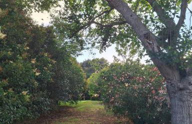 Casa Rural El niño Santamaría - Foto 17