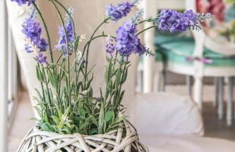 Dream House Efi - Foto 76