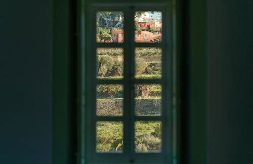 Suite Olivos - Foto 63