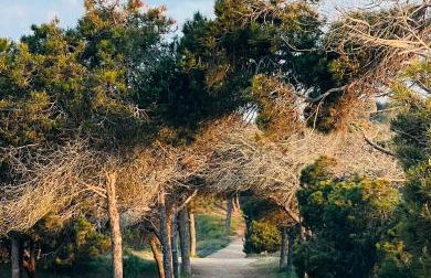 Casa De Kosma - Foto 28