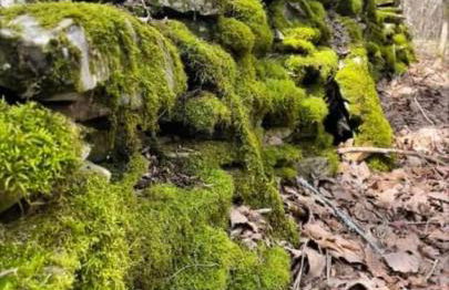 Luxury Mtn Log Home- Sevier Lodge at May Ridge - Foto 34