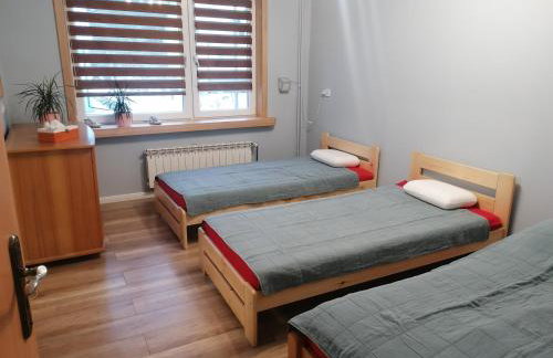 Apartament Przy Puszczy Białowieskiej - Foto 6