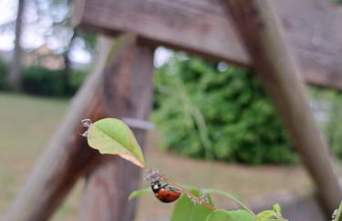 Exclusives Ferienhaus am Kulkwitzer See - Photo 53