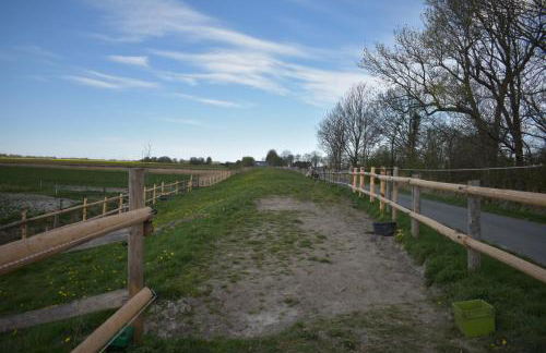 Idylle auf dem Reiterhof bei Husum - Foto 33