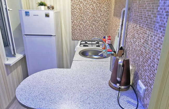 Apartment Hanaka Grekova 8 - Photo 11