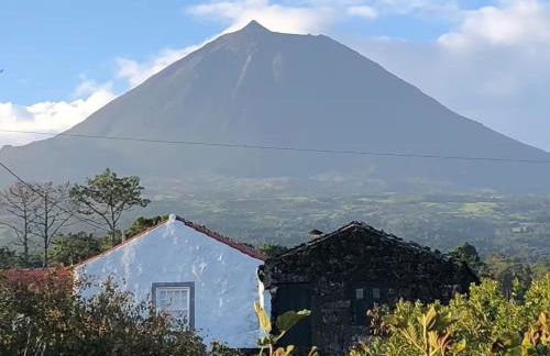 Casa 3 Picos 1 - Photo 21