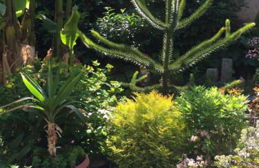 Haus Gisela - Foto 7