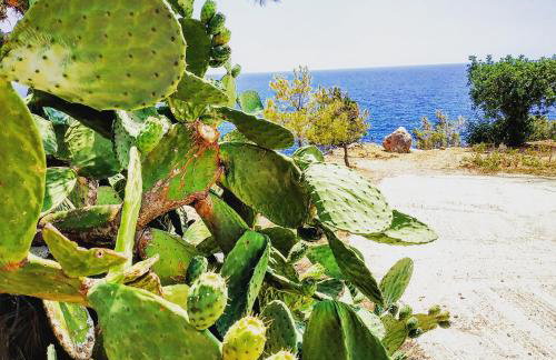 Euphoria - South Crete Villas - Foto 41