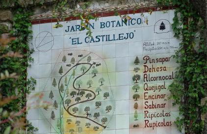 Azahares Apartamento turístico - Foto 53