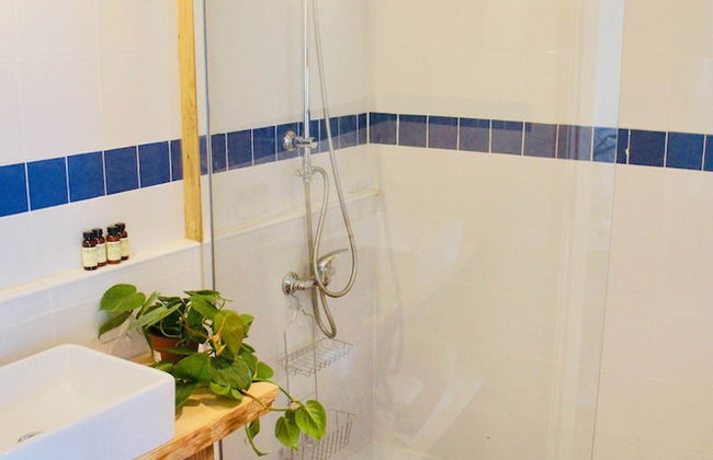 João Jungle - Foto 40