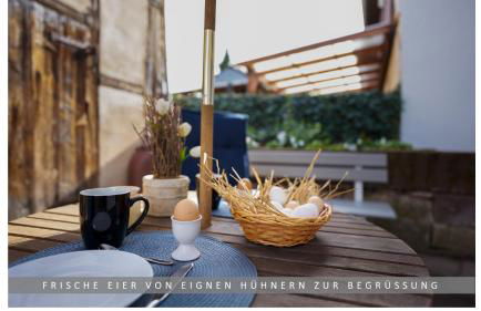 Apartment Leinetal mit Kamin & Kaminholz, 1-3 Personen , Schlafzimmer mit Boxspringbett 180x200 & hochwertige Hotelbettwäsche, bequemes Einzelbett im Wohnzimmer, Terrasse, Einbauküche, - Photo 12