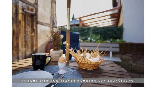 Apartment Leinetal mit Kamin & Kaminholz, 1-3 Personen , Schlafzimmer mit Boxspringbett 180x200 & hochwertige Hotelbettwäsche, bequemes Einzelbett im Wohnzimmer, Terrasse, Einbauküche, - Foto 1