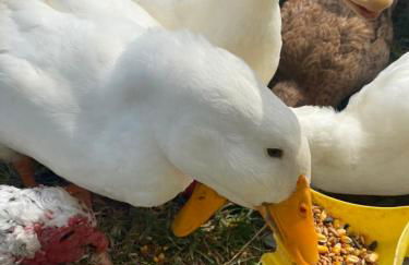 Eagle Mountain River Retreat - Foto 52