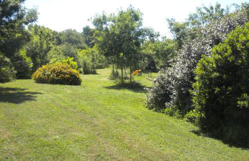 Maison de Vacances de Récailleau - Foto 18