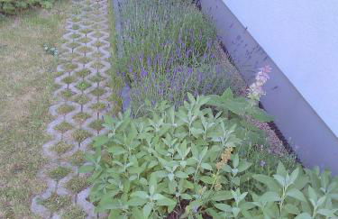 Das kleine Lavendelhaus - Foto 31