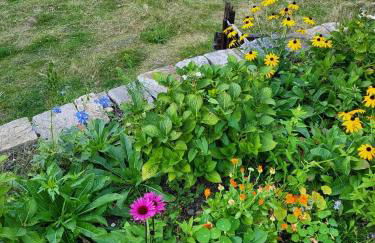 Souterrainwohnung im Grünen - Foto 43