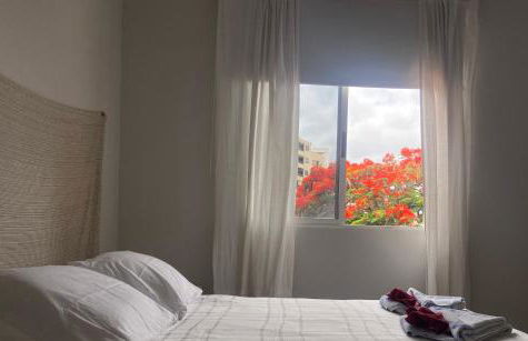 Santa Cruz de Tenerife Toscal - Foto 13