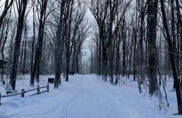 Cozy Log Cabin Near Ski Area and Lake including Hot Tub - Foto 26