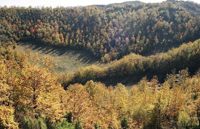 Bio Agriturismo La Cerqua - Foto 61