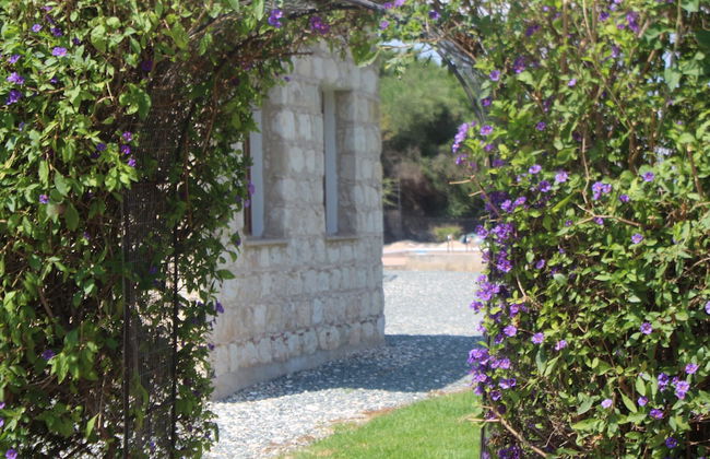 Gaia Residence in Polis Chrysochous Paphos - Photo 26
