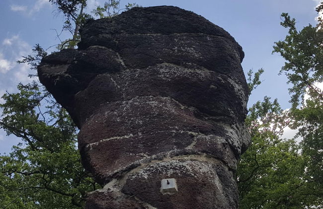 Gruppen- Ferienhaus in Wieda - Photo 35