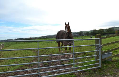 Park Farm Cottage - Foto 13