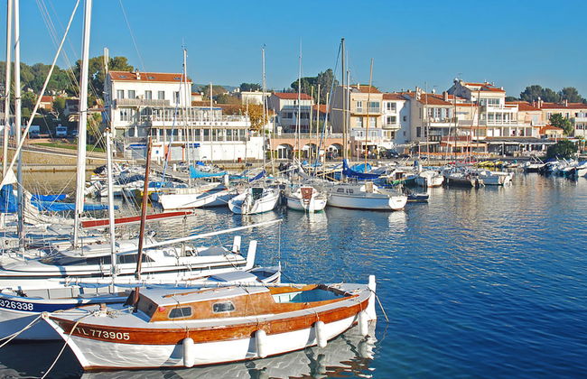 Les Palmiers - Foto 19