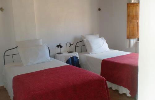 Horta da Quinta - Foto 51