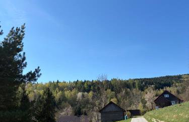 Dom w górach Zacisze lasu z prywatną balią - Foto 12