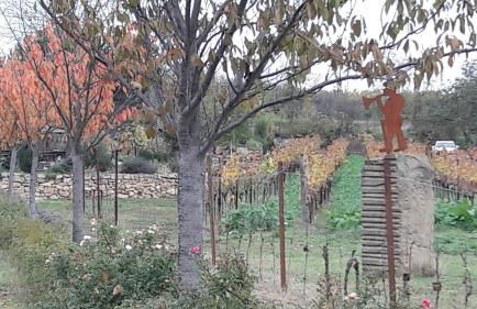 Ferienwohnung Zum Weinberg bis 4 Personen - Im Herzen der Pfalz - Foto 53