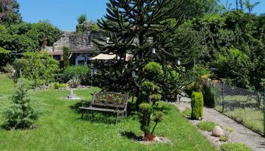 Glori' s Fewo groß - Foto 3