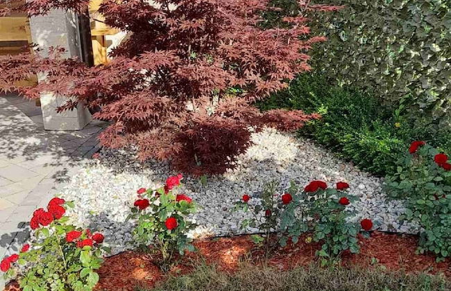 Villa Lemily - Foto 44