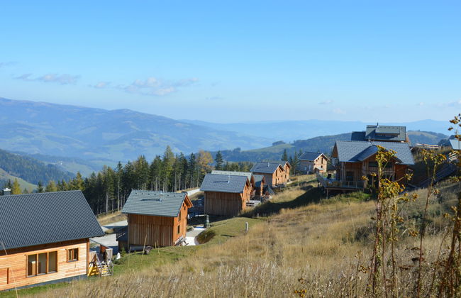 Klippitzrose - Foto 41