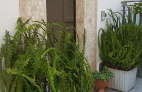 Lamezia Park Apartments - Photo 31