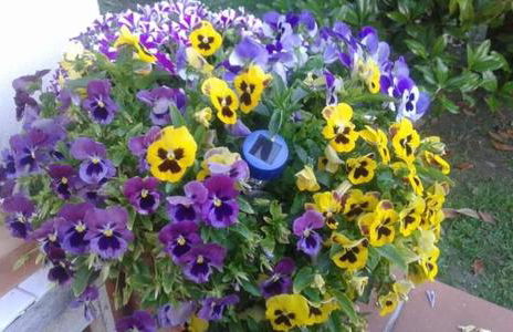 CA' MENEGHETTI - Foto 5